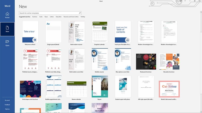 Microsoft Office Home and Business 2019 PC