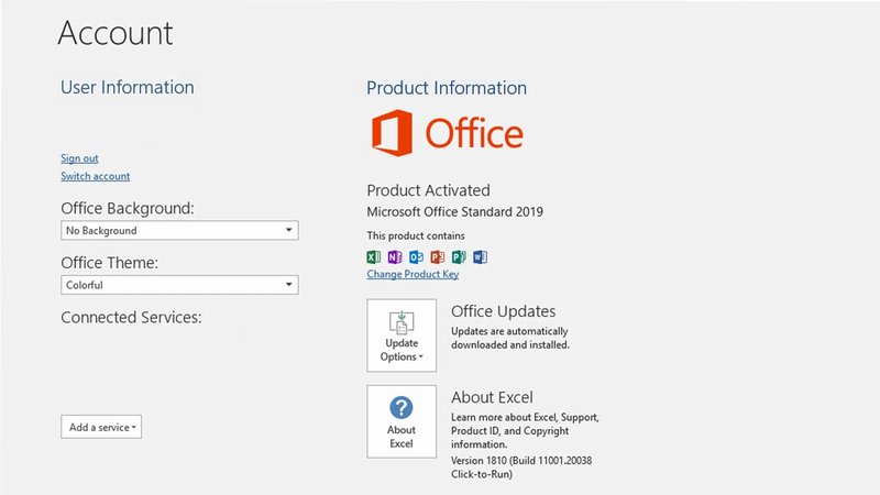 Microsoft Office Home and Business 2019 PC