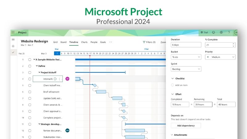MS Project 2024 Pro