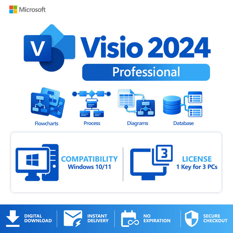 Microsoft Visio Professional - 2024