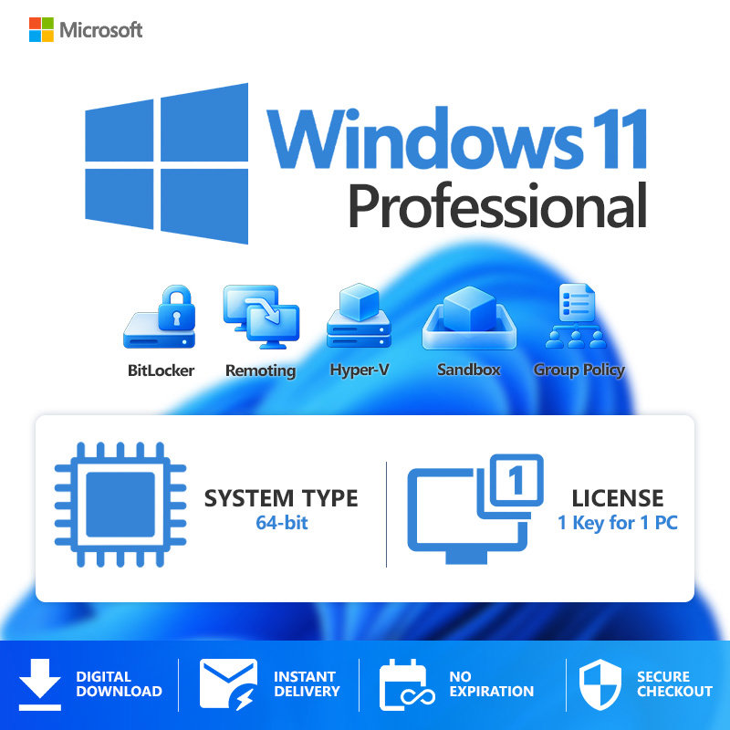 Windows 11 Pro