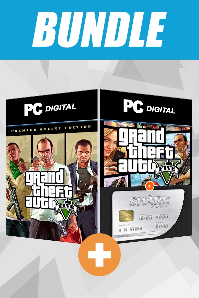  Grand Theft Auto V - Premium Online Edition (PS4