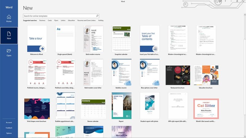 Microsoft Office Home & Business 2019 1 user (Mac)