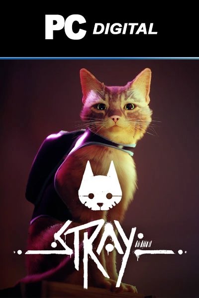 Stray no Steam