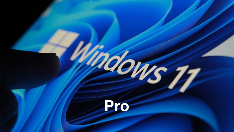 Windows 11 Pro (32-64bit OEM)
